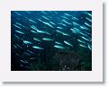 06-Bequia - 17